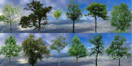 3DTotal Textures v10 - Растения и деревья