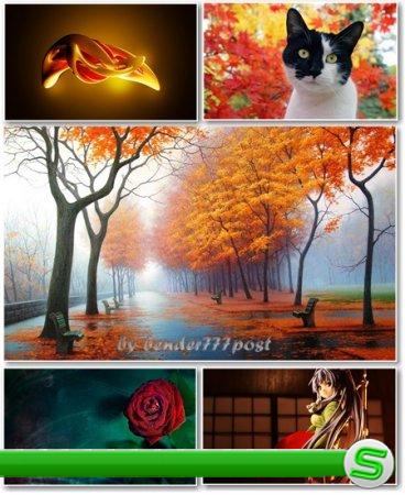 Best HD Wallpapers Pack №365