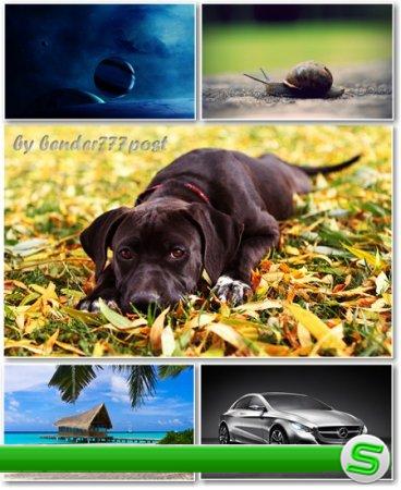 Best HD Wallpapers Pack №369