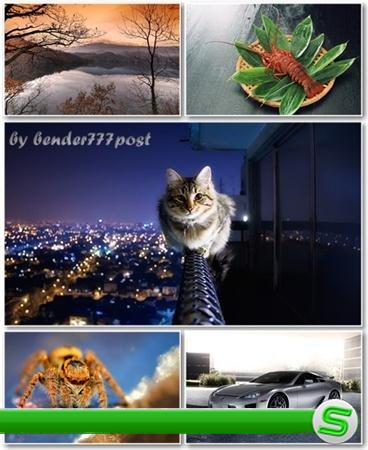 Best HD Wallpapers Pack №376