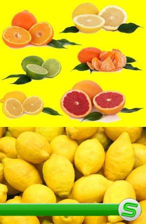 Мандарин лимон и лайм на стоковых фото
