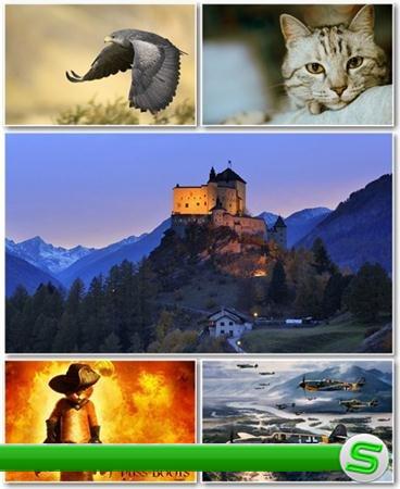 Best HD Wallpapers Pack №405