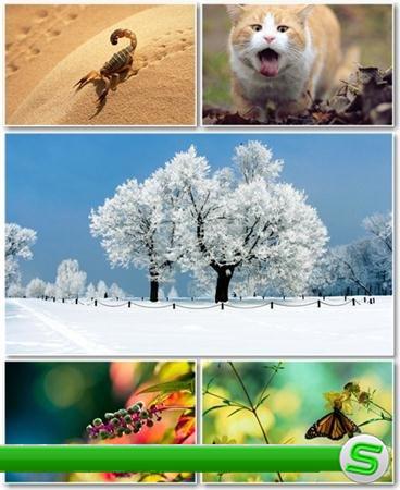 Best HD Wallpapers Pack №406