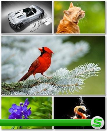 Best HD Wallpapers Pack №415