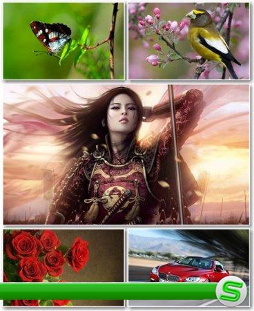 Best HD Wallpapers Pack №404