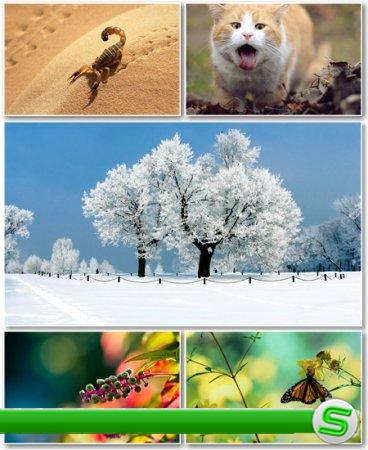 Best HD Wallpapers Pack №406