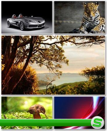 Best HD Wallpapers Pack №427