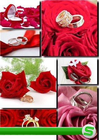 Клипарт - Романтические розы и кольца