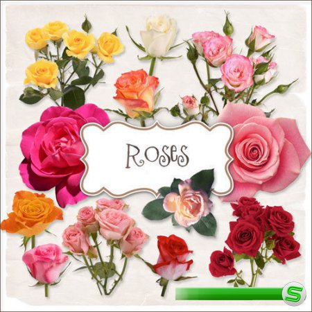Цветочный скрап-комплект - Розы 