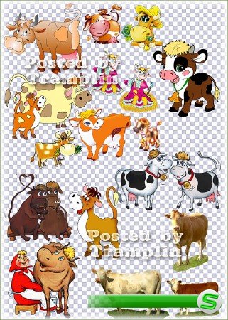 Клипарт на прозрачном фоне – Коровы, бычки и телята