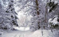  Необыкновенные виды великолепной зимней дороги