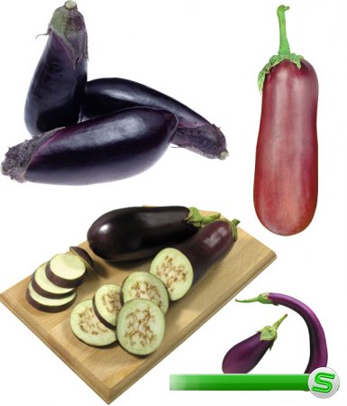 Фотосток: овощи - кабачки, баклажаны, кабаки, сининькие