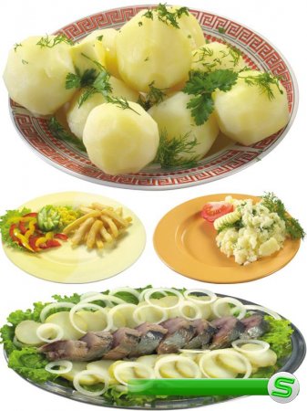 Фотосток: еда - блюда из картофеля