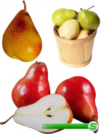 Фотосток: фрукты - груша