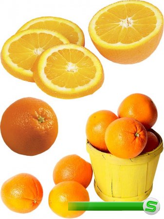 Фотосток: цитрусовые фрукты - Апельсин