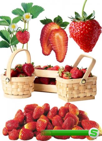 Фотосток: ягоды - клубника и земляника