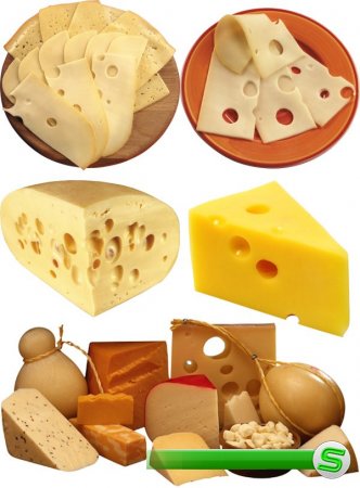 Фотосток: молочные продукты - Сыр