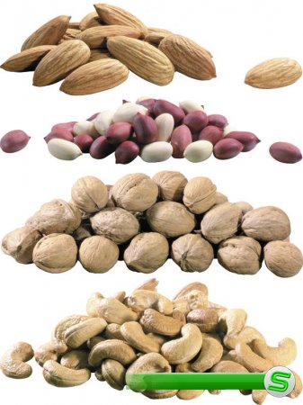 Грецкий орех, арахис, миндаль, фисташки, мускат, фундук, кешью, каштан, желудь