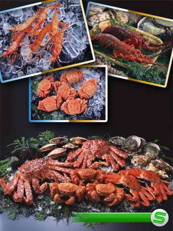 Морепродукты: креветки, омары и крабы