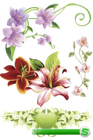 Лилии рисованные - цветочный фотосток