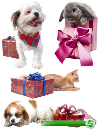 Коты, собаки, кролики и подарки (подборка клипарта)