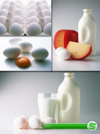 Яйца, сыр и молоко (подборка изображений)