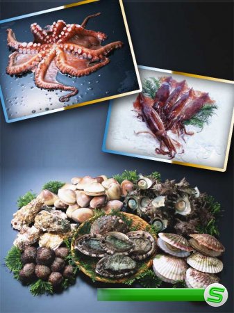 Морепродукты: мидии, осьминоги, кальмары