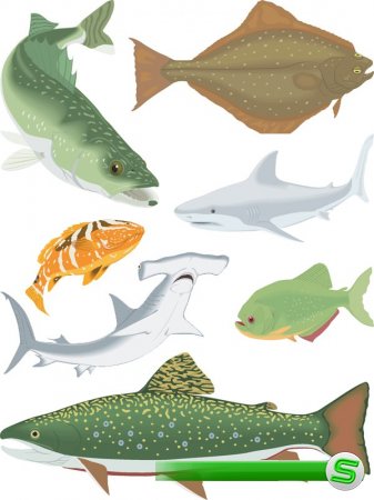 Морские обитатели: Рыба в векторе