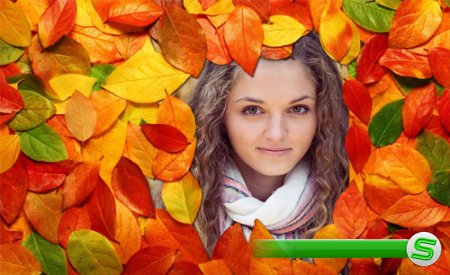  Рамка для фото - Яркие осенние листья 