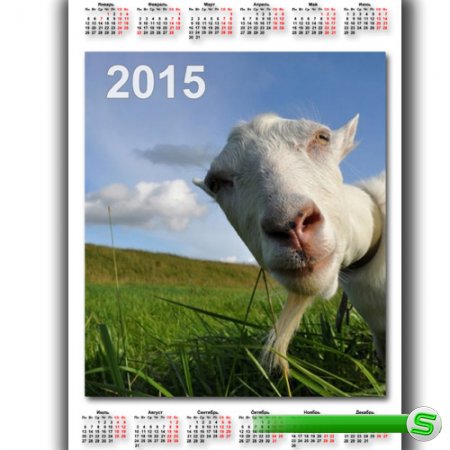  Календарь 2015 - Коза в объективе 
