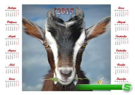  Календарь на 2015 год - Коза с ромашкой 