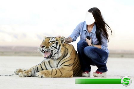  PSD шаблон для девушек - Фото с красивым тигром 