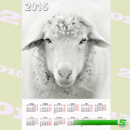  Настенный календарь - Белая овца 