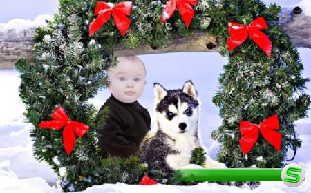  Шаблон для фотошопа - Малыш вместе с милой хаски под новогодним венком 