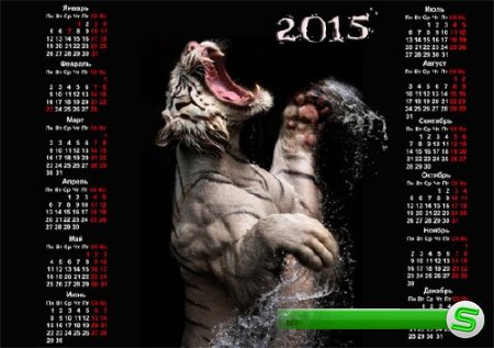  Календарь настенный - Рычание тигра 