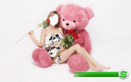  Шаблон psd - С розой и розовым медведем 