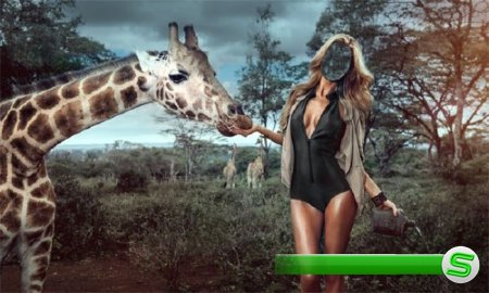  Photoshop шаблон - Прогулка по Африке 