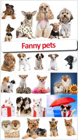 Fanny pets - Коллекция растровых изображений