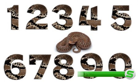  Исходники PSD - 10 цифр из кожи змеи 