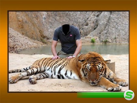  Шаблон для фотошопа - Вместе с тигром 