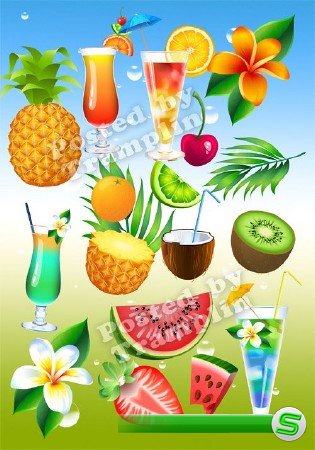 Летний клипарт – Овощи, фрукты, напитки, цветы