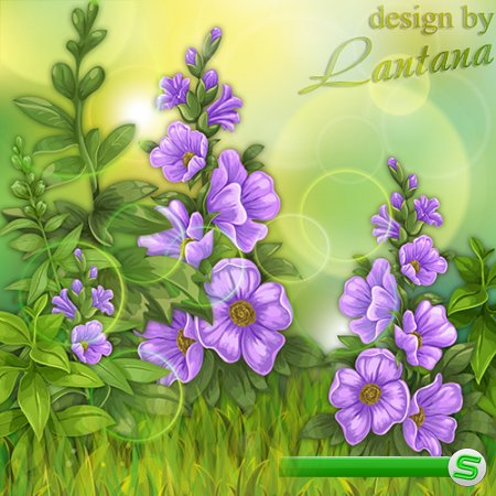 PSD исходник - Весенние цветы лесные, загадочные голубые
