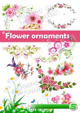 Цветы и цветочные орнаменты  на прозрачном фоне