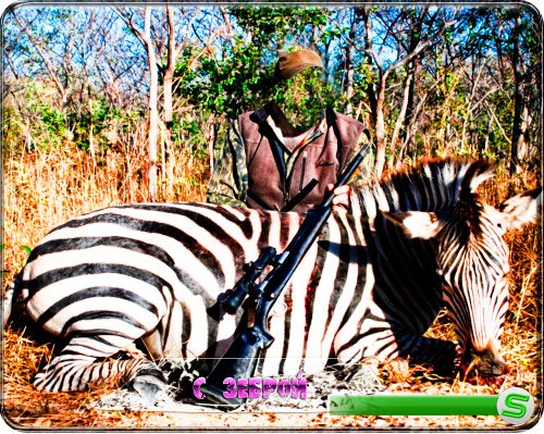 Шаблон фотошоп - Возле зебры
