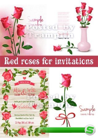 Розы в векторе для пригласительных и открыток