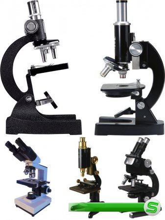Лабораторное оборудование: Микроскоп (прозрачный фон)