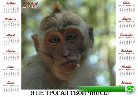  Календарь 2016 - Честная обезьяна 