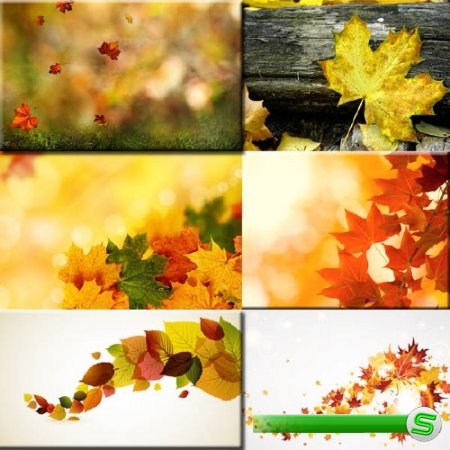  Фон на фото - Листья осени 