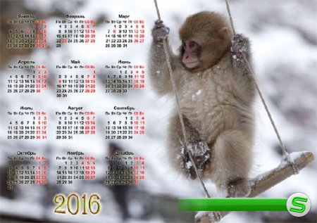  Настенный календарь - Маленькая обезьянка 
