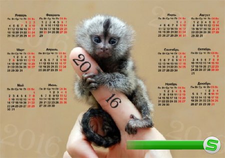 Настенный календарь - Милая обезьянка